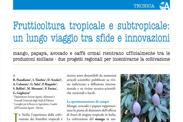 Frutticoltura tropicale e subtropicale: un lungo viaggio tra sfide e innovazioni